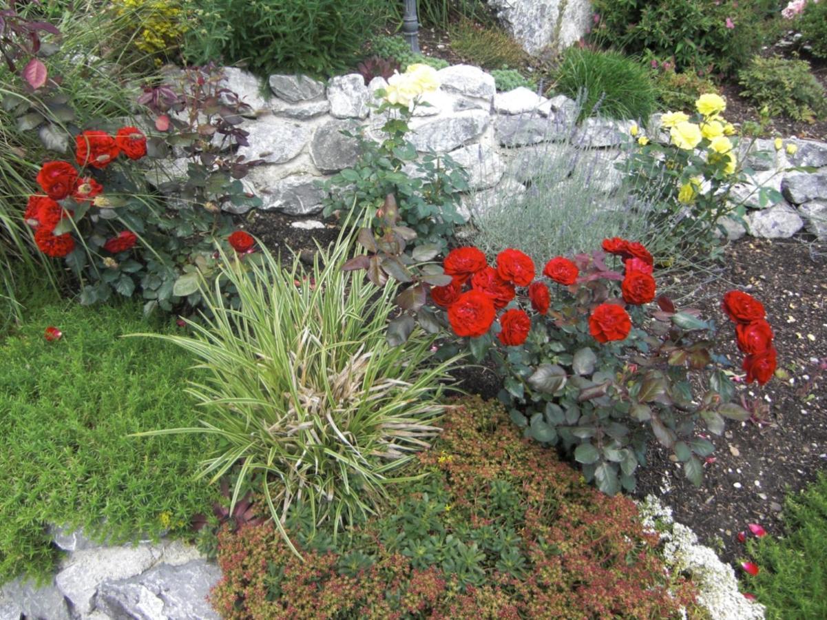 Am Rosengarten